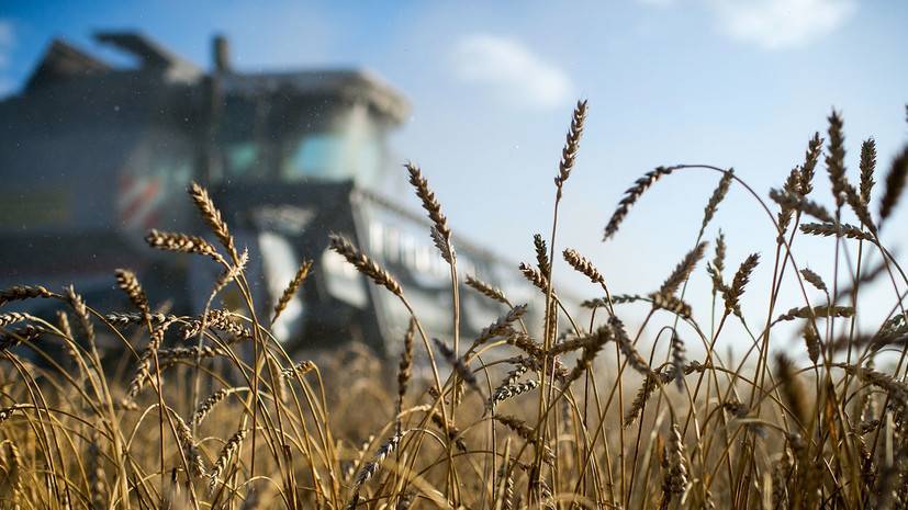 В Подмосковье завершили уборку зерновых и зернобобовых культур