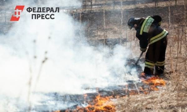 В Новосибирской области горит больше шести тысяч гектаров леса