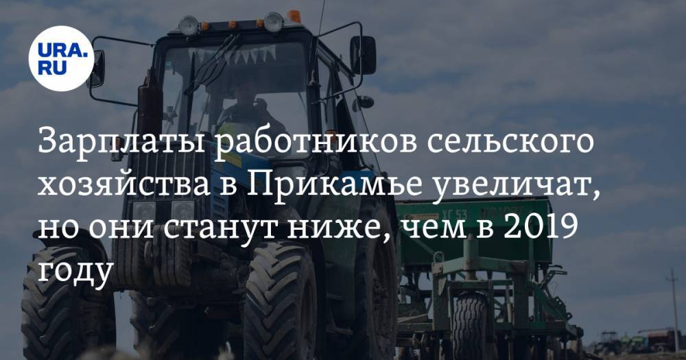 Зарплаты работников сельского хозяйства в Прикамье увеличат, но они станут ниже, чем в 2019 году