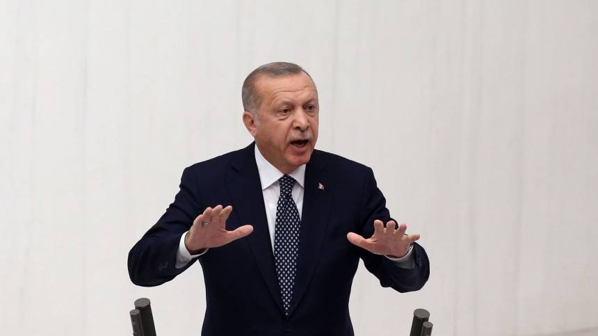 Политолог: Вторжение в Сирию означает для Эрдогана возрождение «Великой Турции»