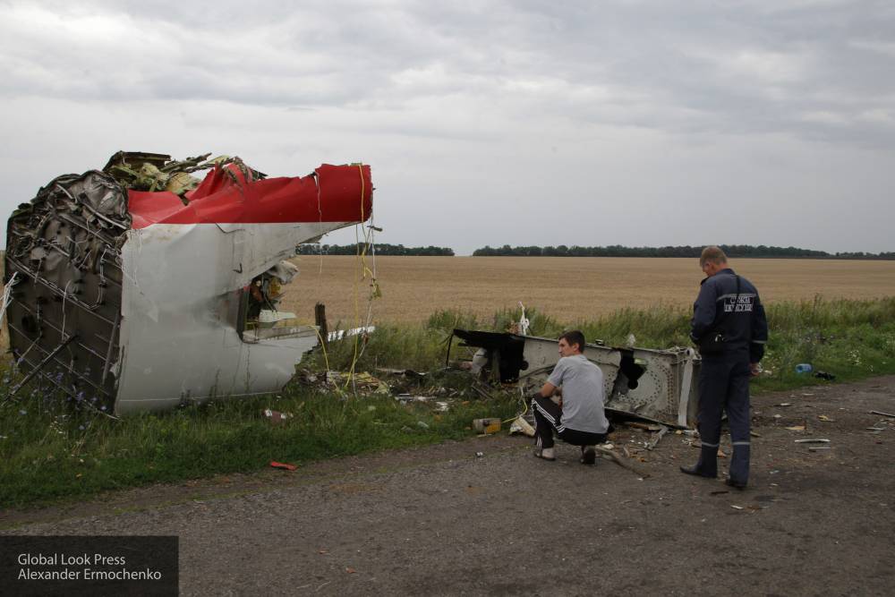 Парламент Нидерландов выступил за изучение роли Украины в крушении MH17