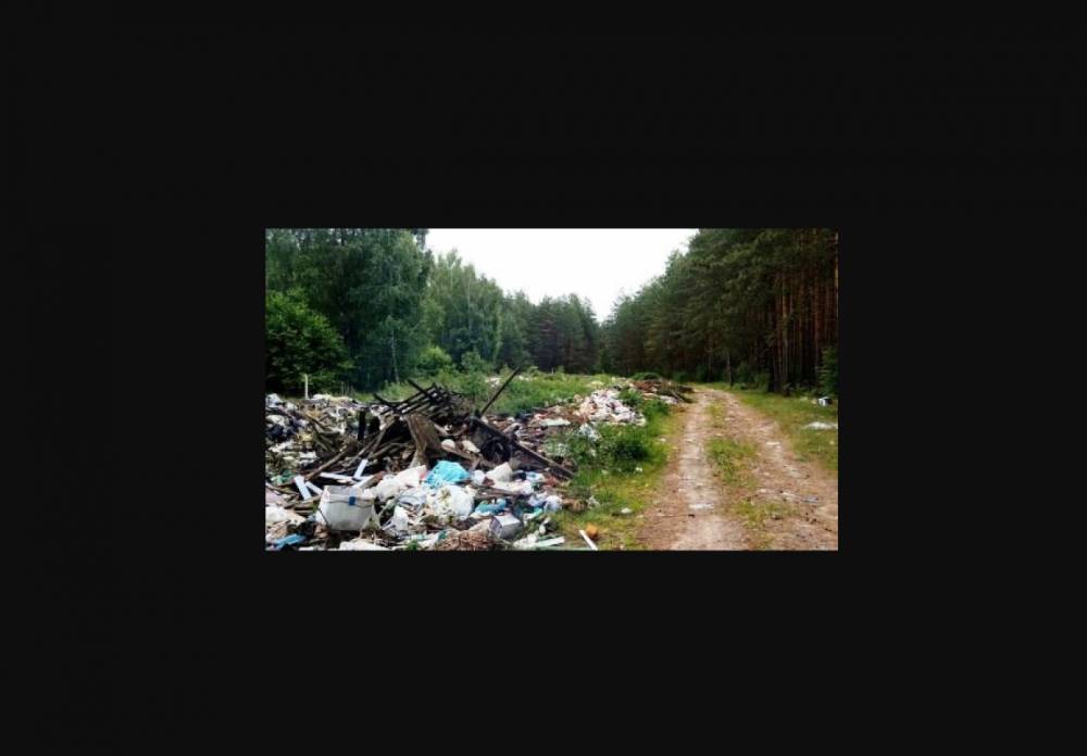 Леса Усть-Куломского района очистят от несанкционированных свалок