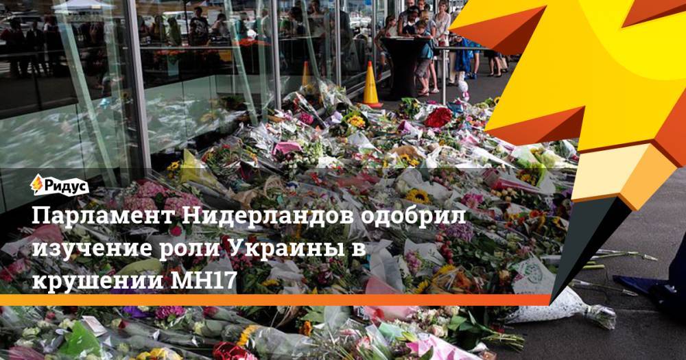 Парламент Нидерландов одобрил изучение роли Украины в крушении MH17