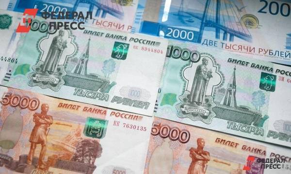 Волгоградские депутаты не будут отчитываться за потраченные деньги