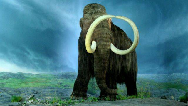 Пропавшие великаны: почему вымерли последние мамонты