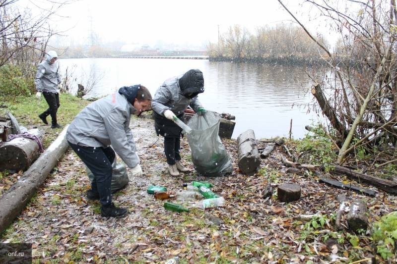 Активисты ОНФ очистили берег Северной Двины в Архангельске