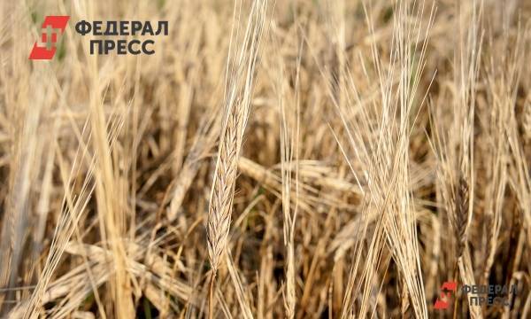 Аграриям Оренбургской области поможет «Объединенная зерновая компания»
