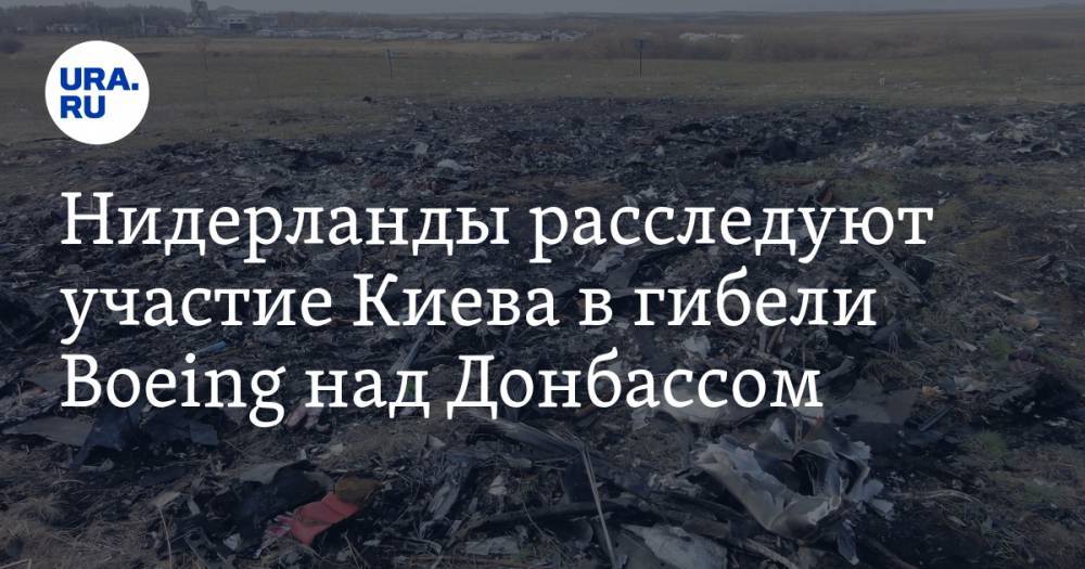 Нидерланды расследуют участие Киева в гибели Boeing над Донбассом