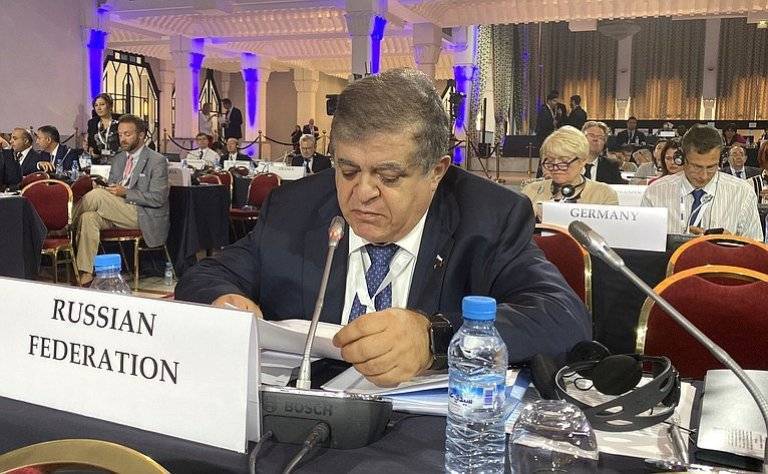 Украинская делегация ПА ОБСЕ не смогла удержаться в цивилизованных рамках