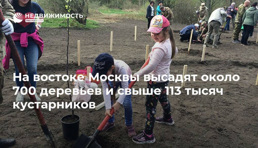 На востоке Москвы высадят около 700 деревьев и свыше 113 тысяч кустарников