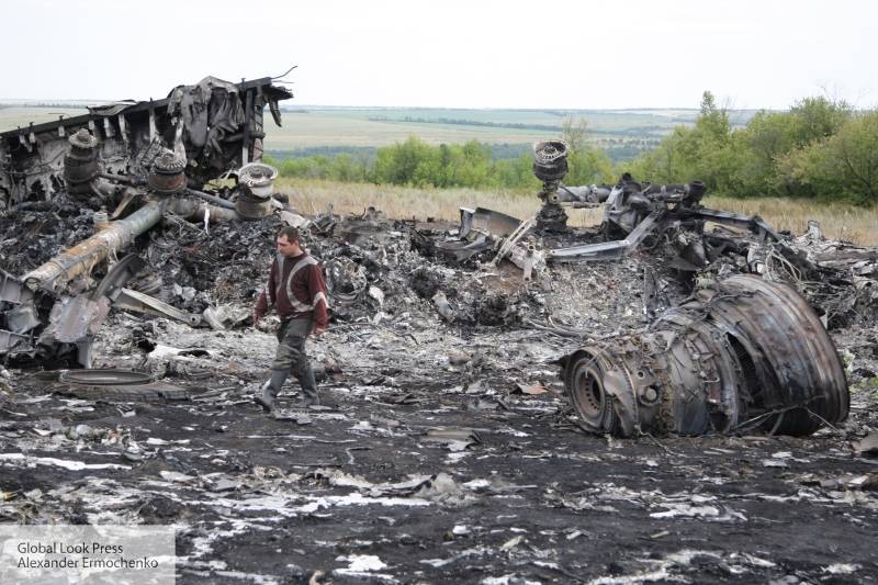 В посольстве РФ отреагировали на решение Нидерландов изучить роль Киева в деле MH17