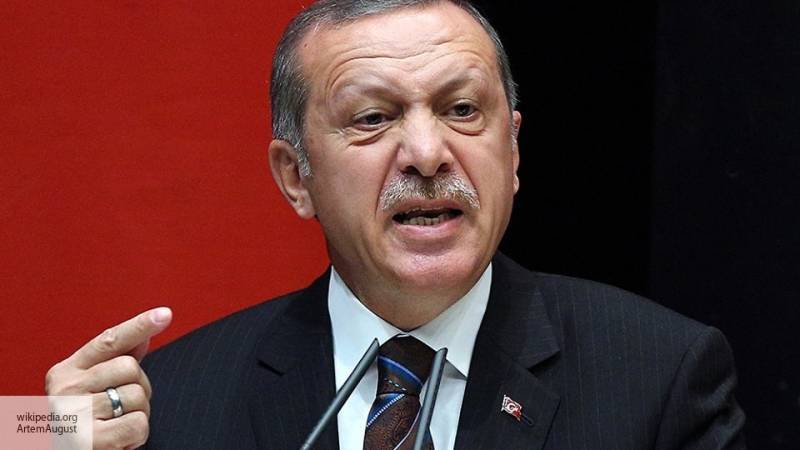 Эрдоган заявил, что операции ВС Турции в Сирии уже началась
