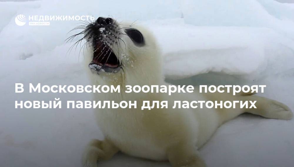В Московском зоопарке построят новый павильон для ластоногих