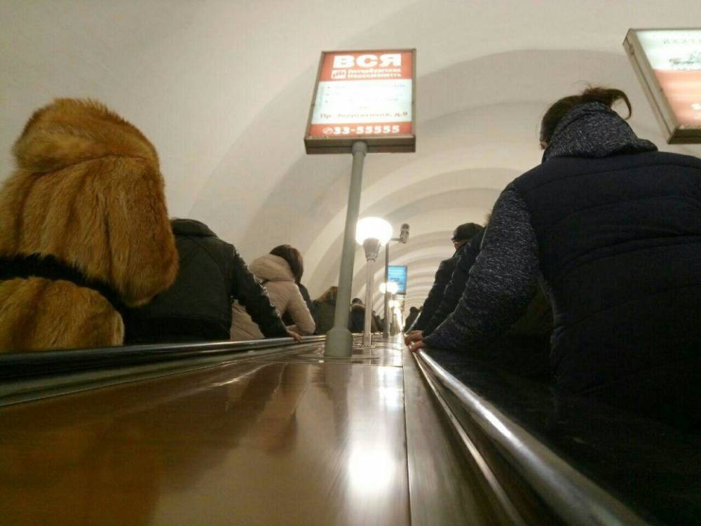 В метро Петербурга рассказали о травмировании пса на эскалаторе станции «Невский проспект»