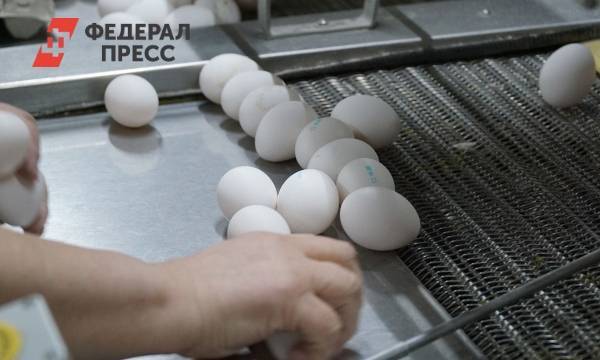 Эксперты нашли самые большие яйца в магазинах России