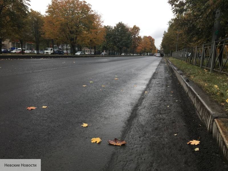 В Петербурге за год привели в порядок 130 дорог