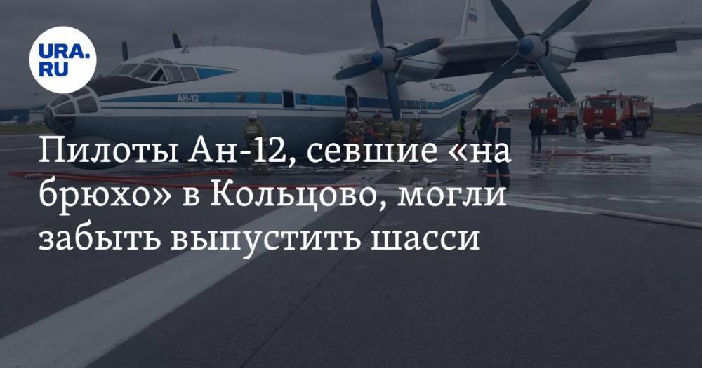 Пилоты Ан-12, севшие «на брюхо» в Кольцово, могли забыть выпустить шасси