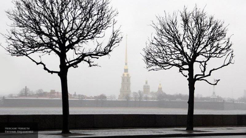 Рабочая неделя в Петербурге завершится туманом и теплом