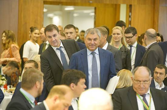 Володин предложил обсудить с бизнесом и экспертами законопроект о защите инвестиционной деятельности в РФ