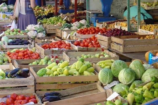 В Дагестане обнаружили «экономическое чудо»
