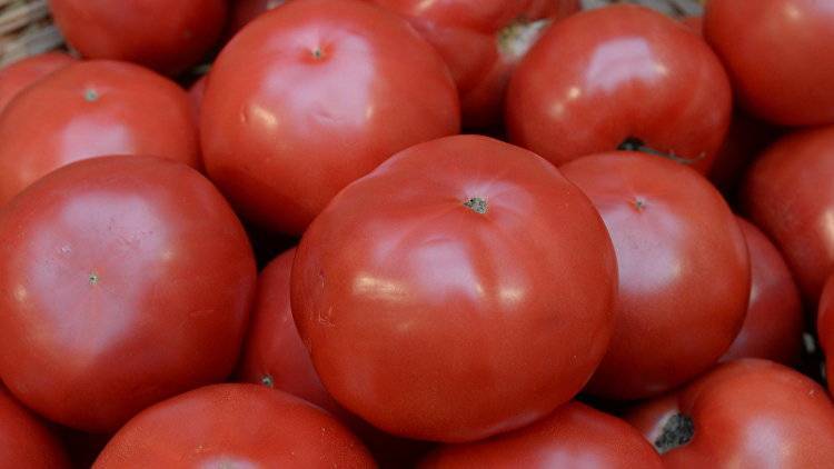 Ученые рассказали о неожиданной пользе приготовленных помидоров
