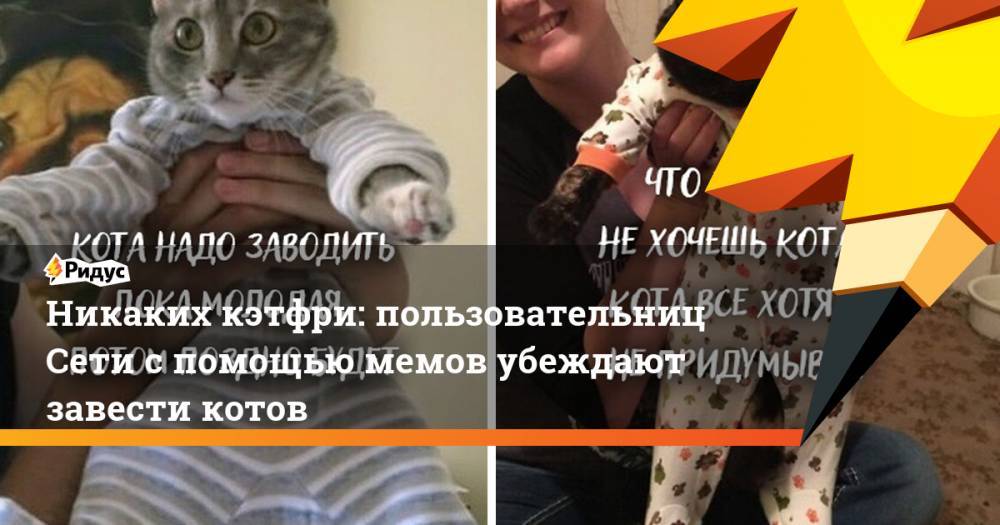 Никаких кэтфри: пользовательниц Сети с помощью мемов убеждают завести котов
