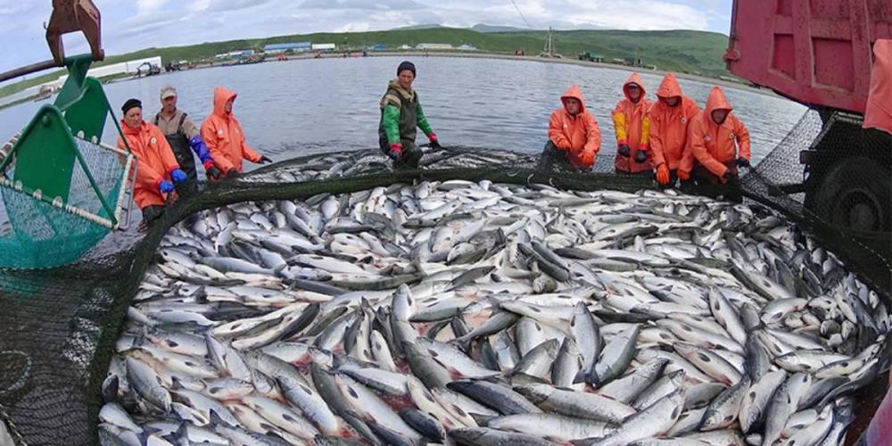 Рыбаки оценили в 150 млрд рублей убытки от договора Шеварнадзе с США