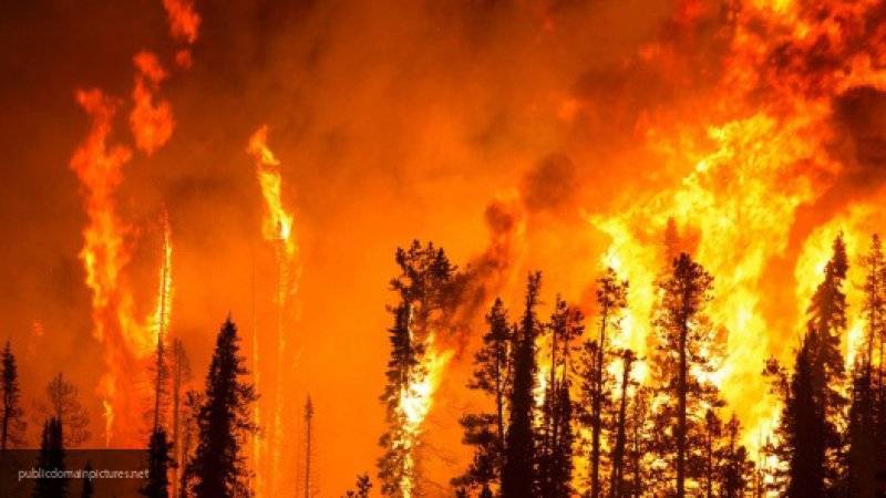 Более 100 тысяч человек эвакуированы из-за лесных пожаров в Калифорнии