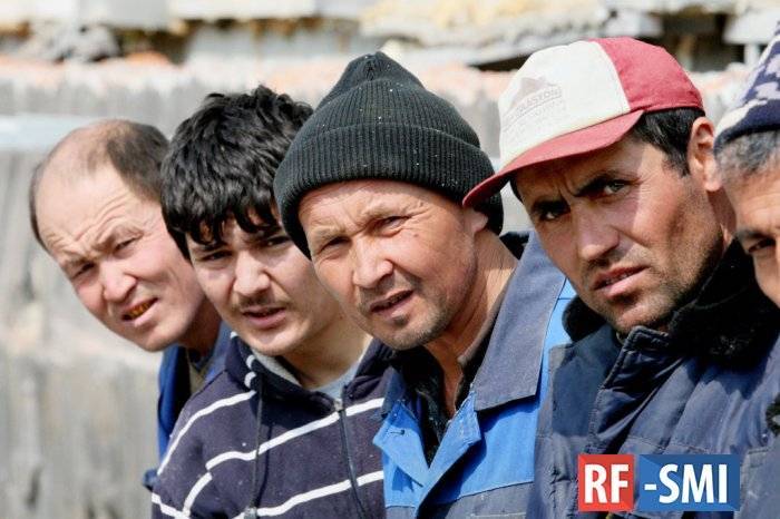 Эксперт: Мигрантов в России 8% от численности населения