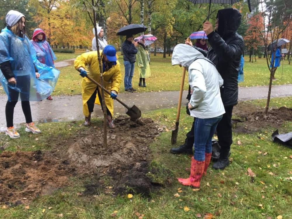В парке Юннатов заложили каштановую «Аллею ангелов» в память о онкобольных детях