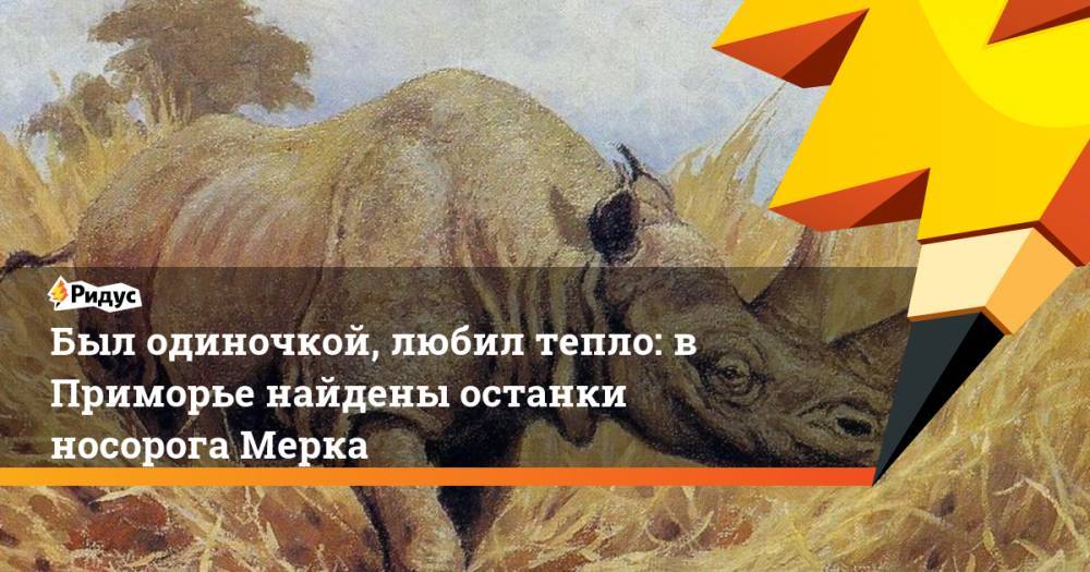 Был одиночкой, любил тепло: в Приморье найдены останки носорога Мерка