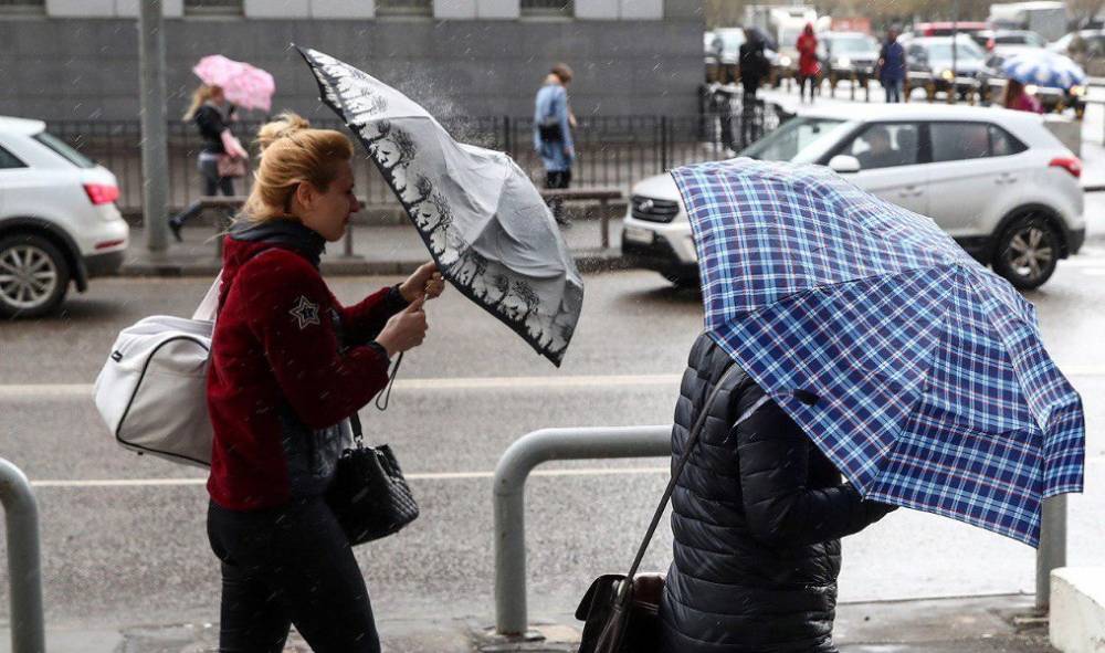 В МЧС предупредили москвичей о порывистом ветре