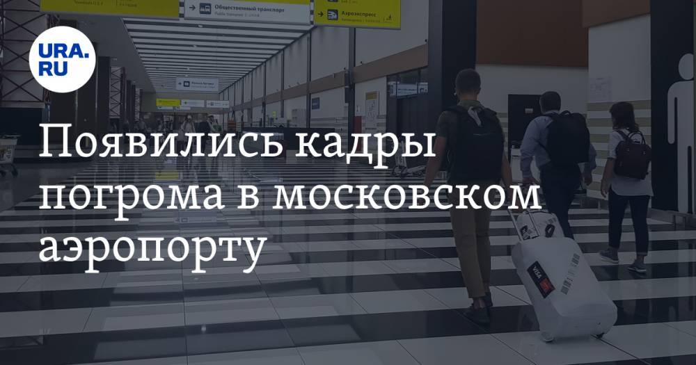 Появились кадры погрома в московском аэропорту. ВИДЕО
