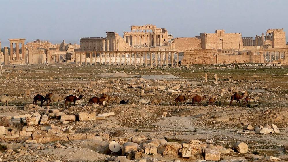 В Сирии подсчитали, сколько памятников археологии разграбили в ходе войны