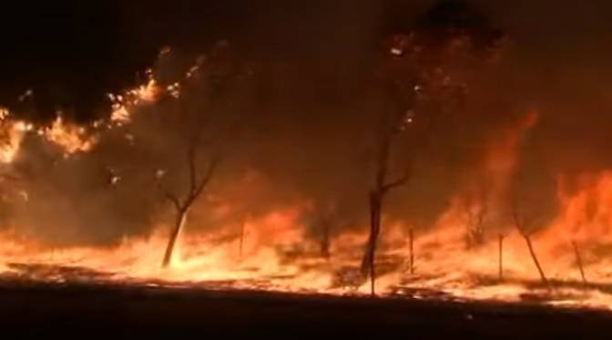 Пожары в Лос-Анджелесе, 100 тыс человек покинули дома. ВИДЕО - Cursorinfo: главные новости Израиля
