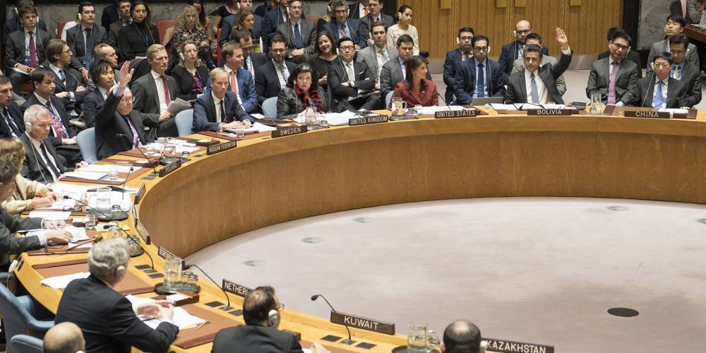 Россия выступила против заявления СБ ООН по военной операции в Сирии