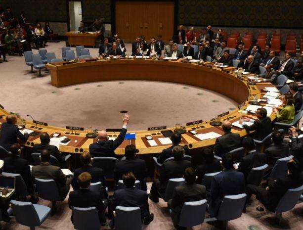 Россия не поддержала заявление СБ ООН по военной операции Турции против курдов