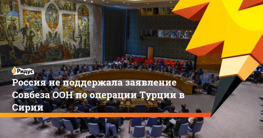 Россия не поддержала заявление Совбеза ООН по операции Турции в Сирии