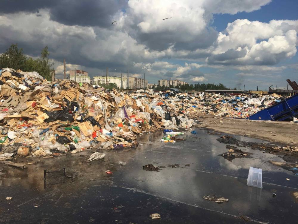 Финляндия поделится опытом переработки отходов с Калининградом