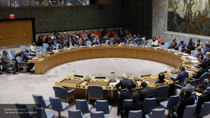 РФ выступила против предложенного в Совбезе ООН заявления о турецкой операции в Сирии