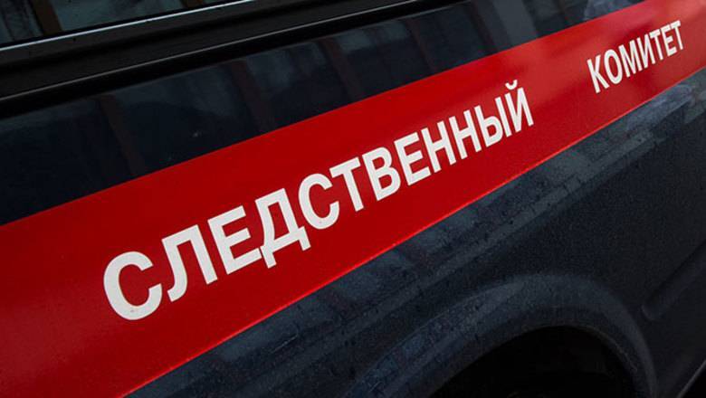 Бастрыкин взял на контроль избиение девочки в Ижевске