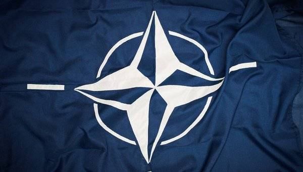 Страны НАТО не поддержат «план Маршалла» для Украины, заявили в Совфеде