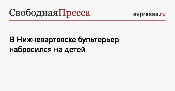 В Нижневартовске бультерьер набросился на детей