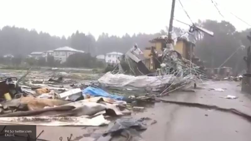 Два человека погибли из-за обрушившегося на Японию тайфуна "Хагибис"