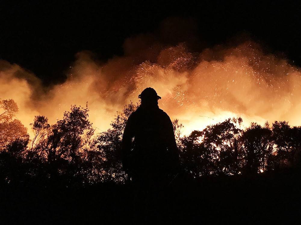 В Калифорнии отключено электричество из-за лесных пожаров