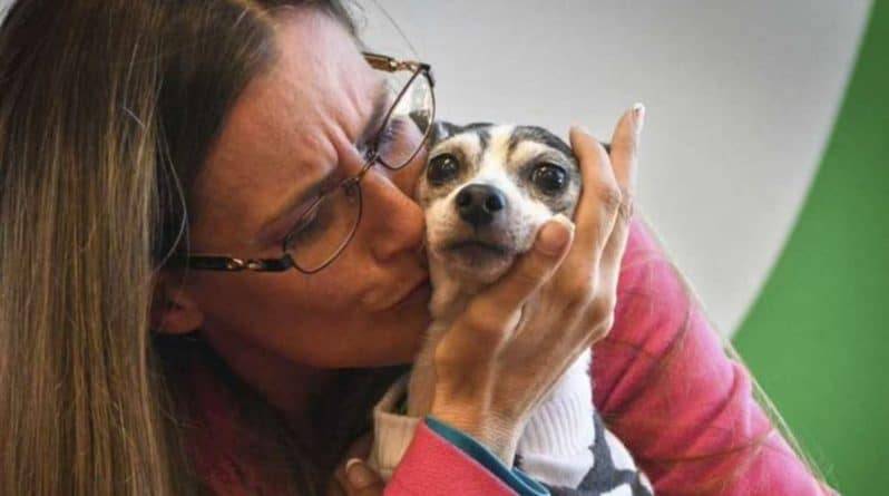 Женщина не потеряла надежду вновь увидеть свою собаку и нашла ее через 12 лет