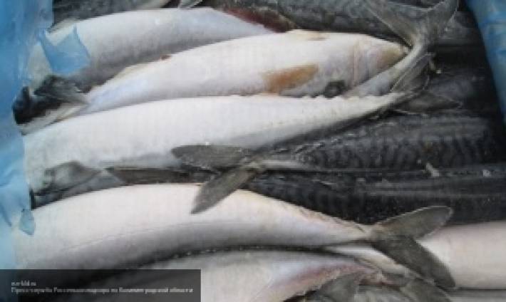 РФ лишает японских рыбаков шансов на прибыль