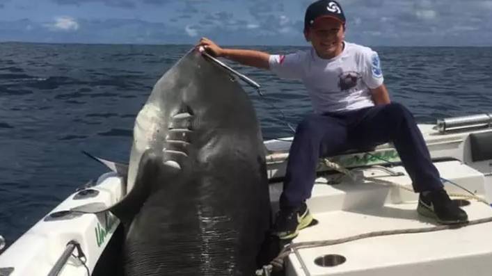 8-летний мальчик поймал 314-килограммовую акулу в Австралии