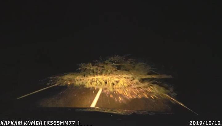 Водитель протаранил дерево, упавшее поперек дороги в Новой Москве. Видео