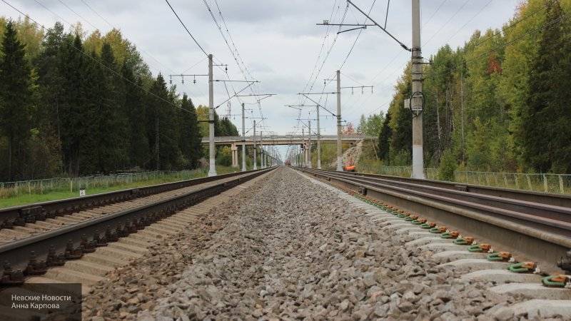 Электричка сбила переходящих железнодорожные пути мужчин в Москве